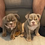 Bruce & Ernie - @bruce_and_ernie - Instagram
