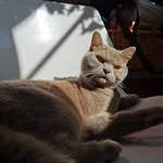 Ernie & Bruce - @ernieandbruce - Instagram