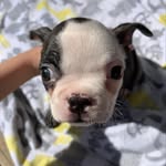 Ernie Bruce Blackmore - @erniebruceontheloose - Instagram