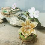 @sprout.bruce.and.ernie - Instagram