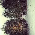 Ernie burrows - @ernmister - Instagram