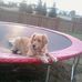 Ernie Cain - Facebook