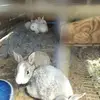 Ernie Campbell - @ernie.campbell5 - TikTok