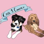 Ernie & Cooper - @ernie_cooper_down - Instagram