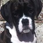 Ernie Cooper - @ernie.cooper - Instagram