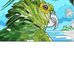 Ernie Cota - Facebook