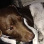 Ernie Drake - @drake_ernie_ - Instagram