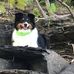 Ernie Fleming - Facebook