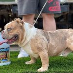 Ernie Guzman - @outlaw_bulliez1 - Instagram