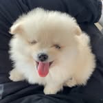 Ernie - @ernie_harrison811 - Instagram