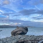 Ernie Harrison - @ernieharrison005 - Instagram