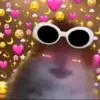 user7644717031821 - @harrisonernie09 - TikTok