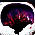 Ernesto Husten - @ernestohusten - Instagram