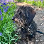 Ernie James - @the.importance.ofbeing.ernie - Instagram