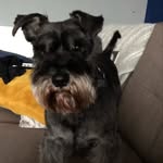 ernest - @ernie.finley.kelly_ - Instagram