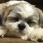 Ernie - @ernie_kelly7 - Instagram
