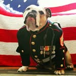 Ernie King - @bigern222 - Instagram