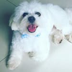 Ernie king - @ernie_kinggg - Instagram