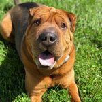 Ernie Lloyd - @the_ernie_lloyd - Instagram