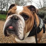 Ernie Payne - @asboerniepayne - Instagram