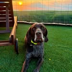 Ernie Payne - @erniethegsp - Instagram