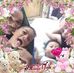 Ernie Perez - Facebook
