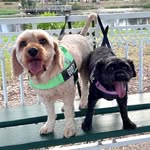 Ernie & Goofy Perry Soligo - @ernie_perry_soligo - Instagram