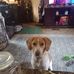 Ernie Perry - Facebook