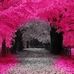 Ernie Powell - Facebook