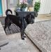 Ernie Reed - Facebook
