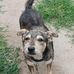 Ernie Rios - Facebook