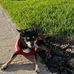 Ernie Rios - Facebook