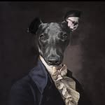 Ernie Scott 🖤 - @whippeternie - Instagram