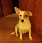 Ernie Shepherd - Facebook