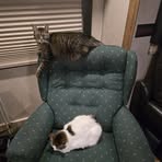 Ernie Shepherd - Facebook