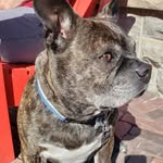 Ernie Thompson - @shlumpy2000 - Instagram