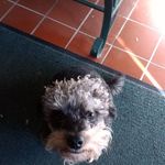 Ernie Vasquez - @ernie.vasquez.718 - Instagram