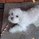 Ernie Walker - @erniewalker83 - Instagram