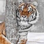 Ernie Watson - @erniewats - Instagram