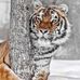 Ernie Watson - Facebook