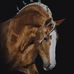 Ernest Yoder - Facebook