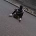 Legros Ernst - Facebook