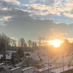 Ernst Mayer - @ernst.mayer.908 - Instagram