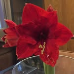 Ernst Mayer - @ernst.mayer58 - Instagram