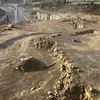 Ernst Müller - @ernst.mller7 - TikTok