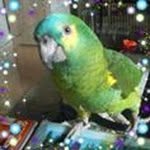 Ernst Roth - @ernstroth5900 - Instagram