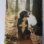ernst roth - @ernsttexroth - Instagram