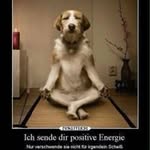 Ernst Rothleitner - @ernstrothleitner - Instagram