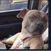 Eros Davis - Facebook