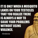 Errol Anderson - @errol.sma - Instagram